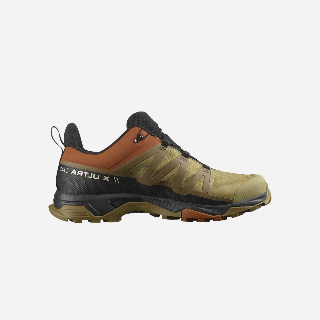 Salomon X Ultra 4 Gtx