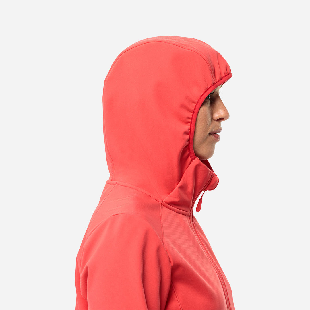 Jack Wolfskin Bornberg Hoody