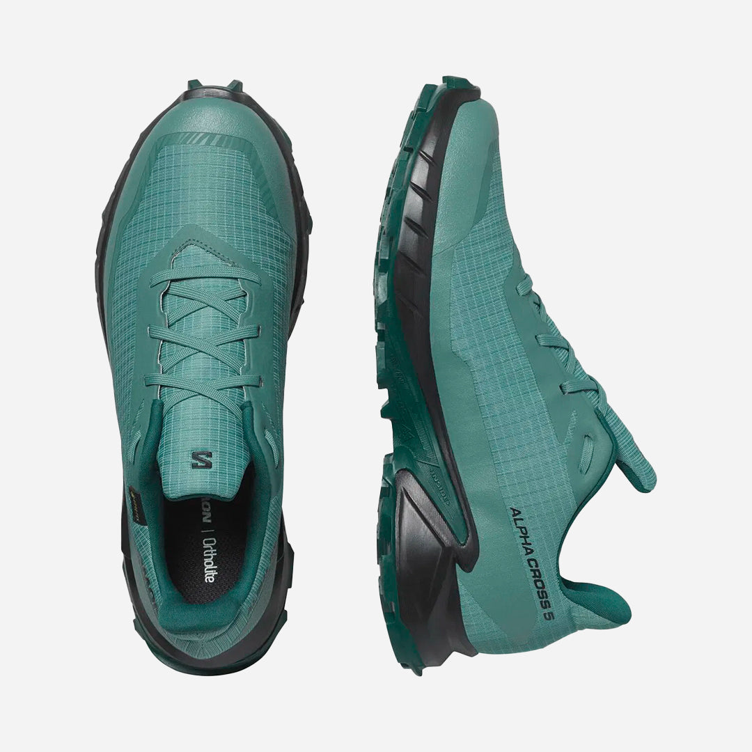 Salomon Alphacross 5 Gtx