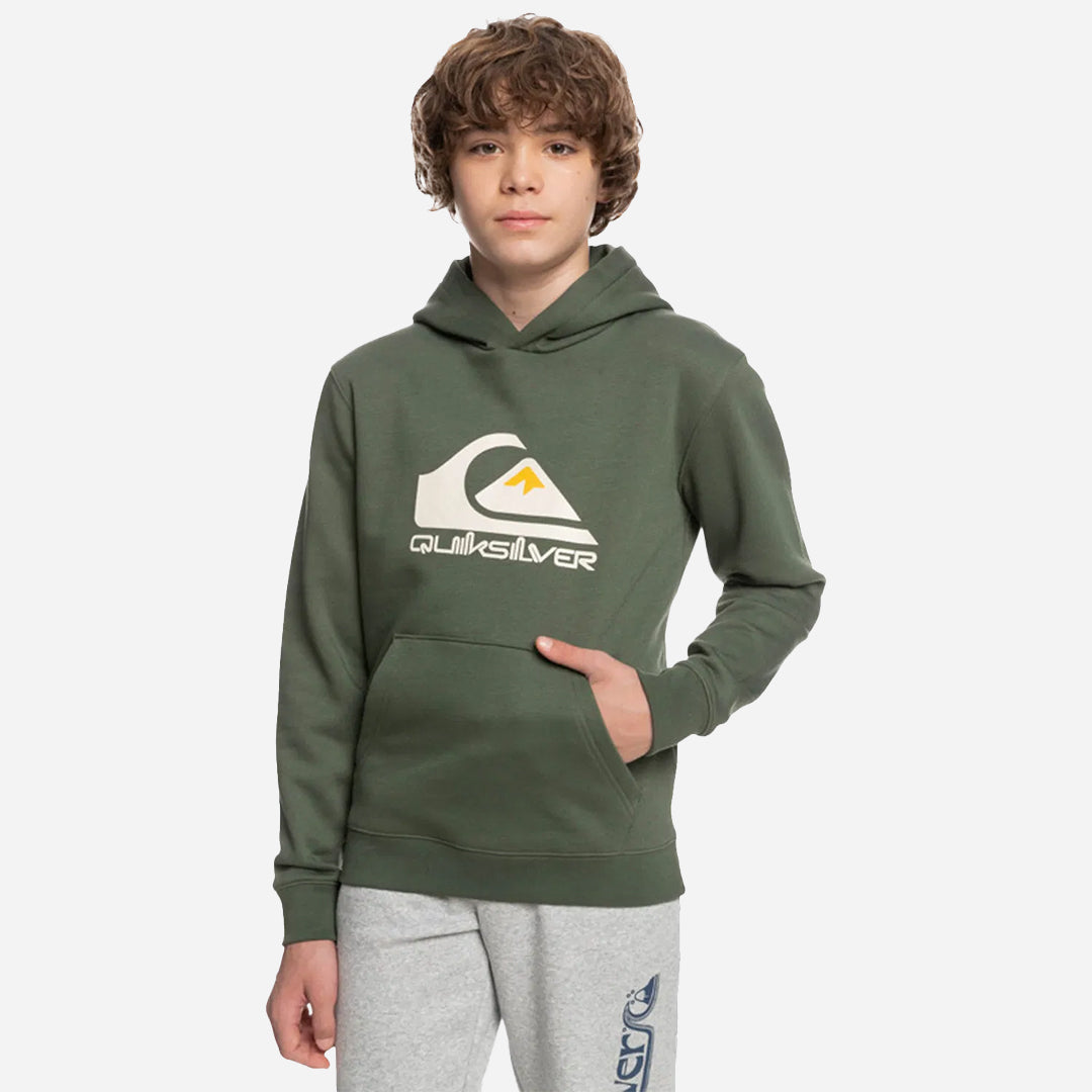 Quiksilver Çocuk Sweatshirt Big Logo Yeşil Günlük Giyim