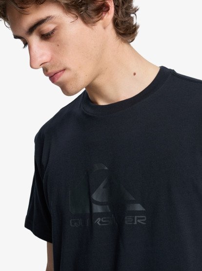 Quiksilver Ev Comp Logo