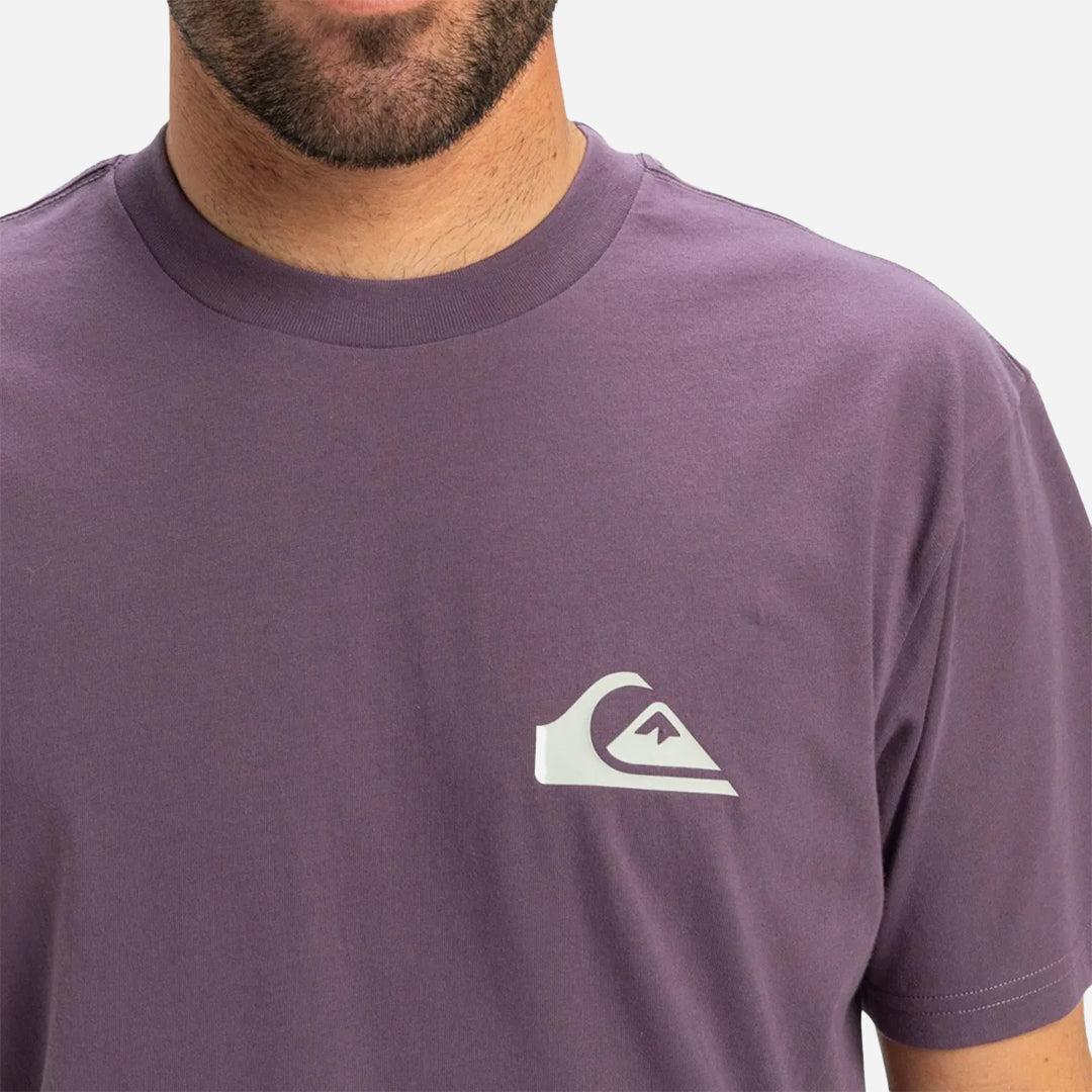 Quiksilver Ev Mini Logo Ss