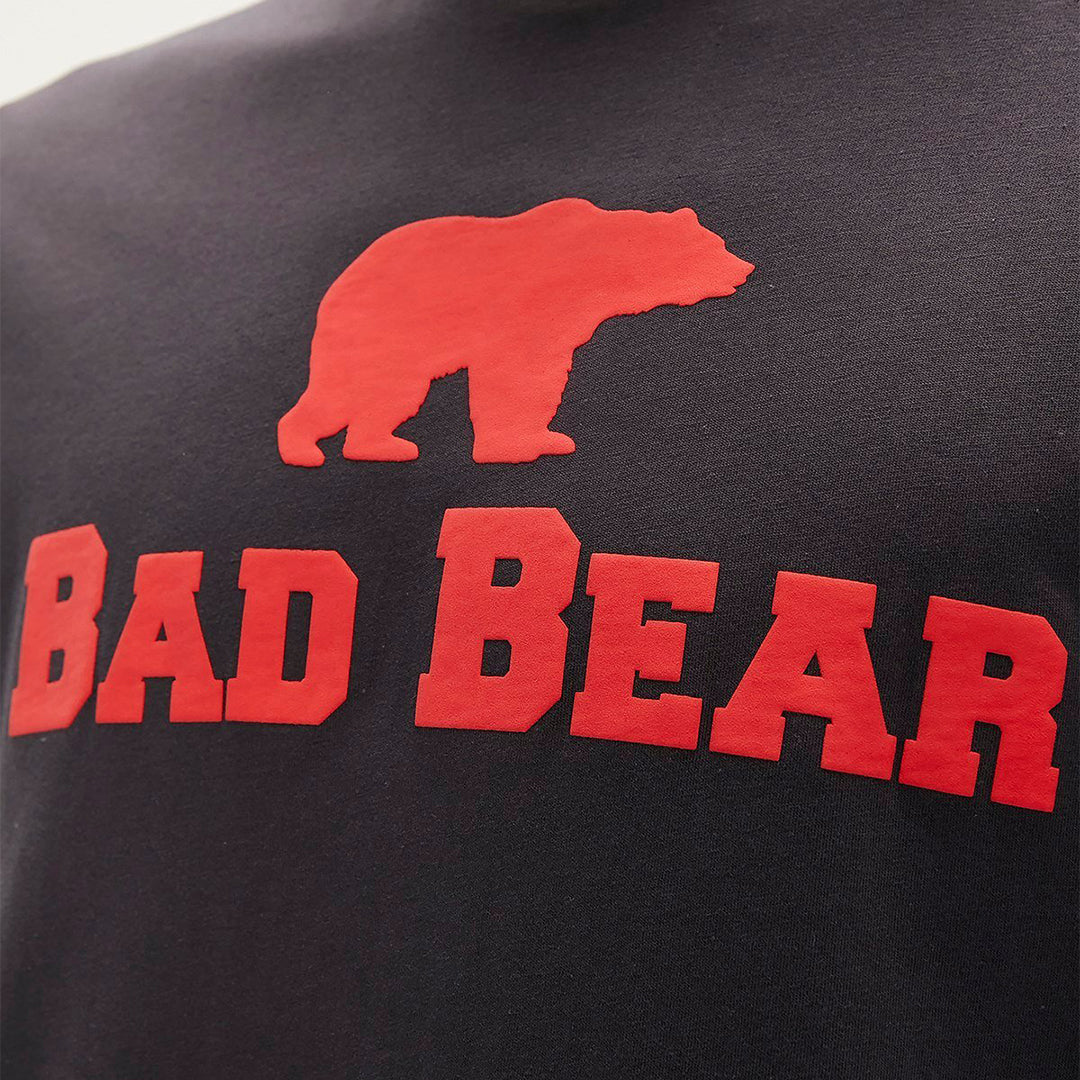 Bear Tee Antrasit Logo Baskılı Erkek Tişört