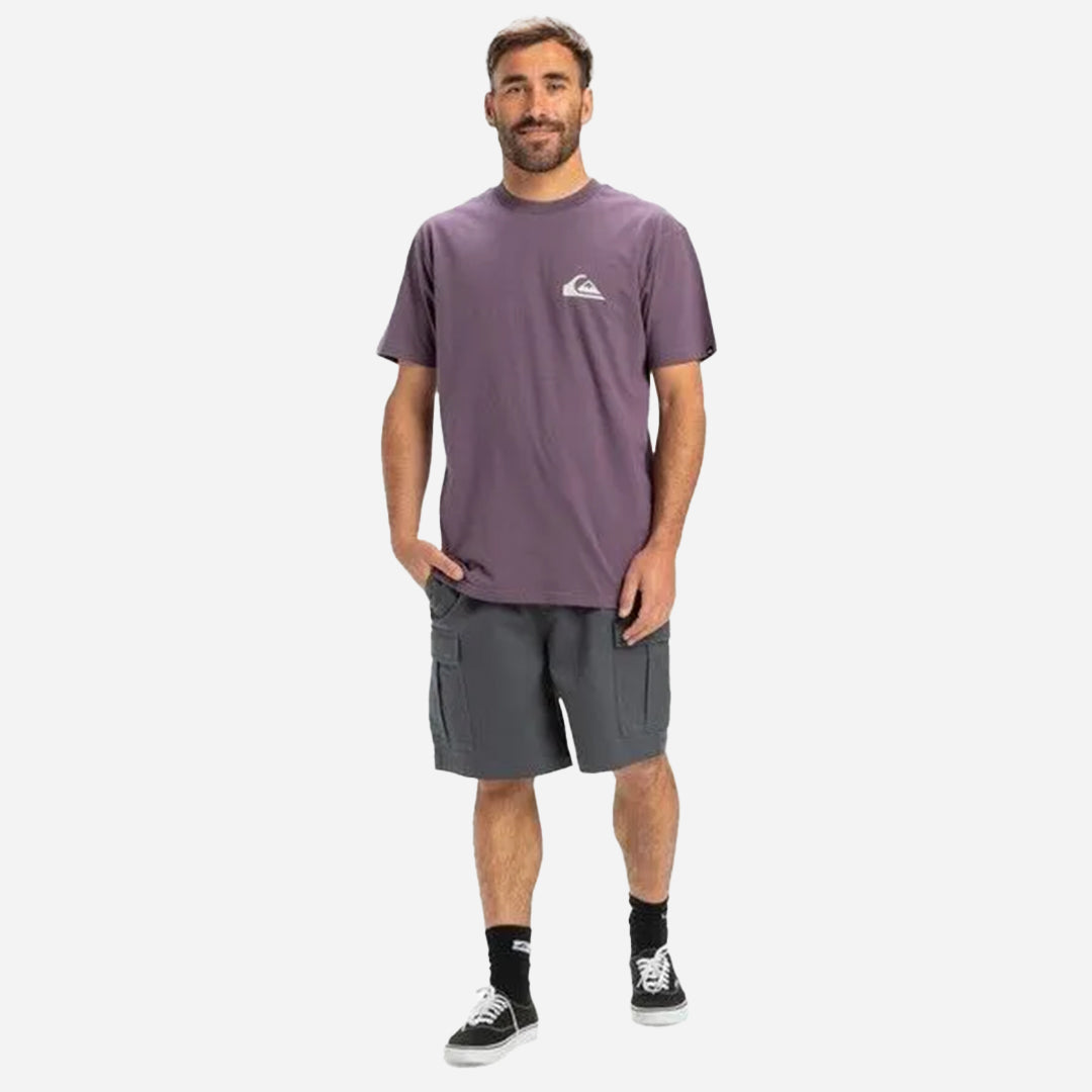 Quiksilver Ev Mini Logo Ss
