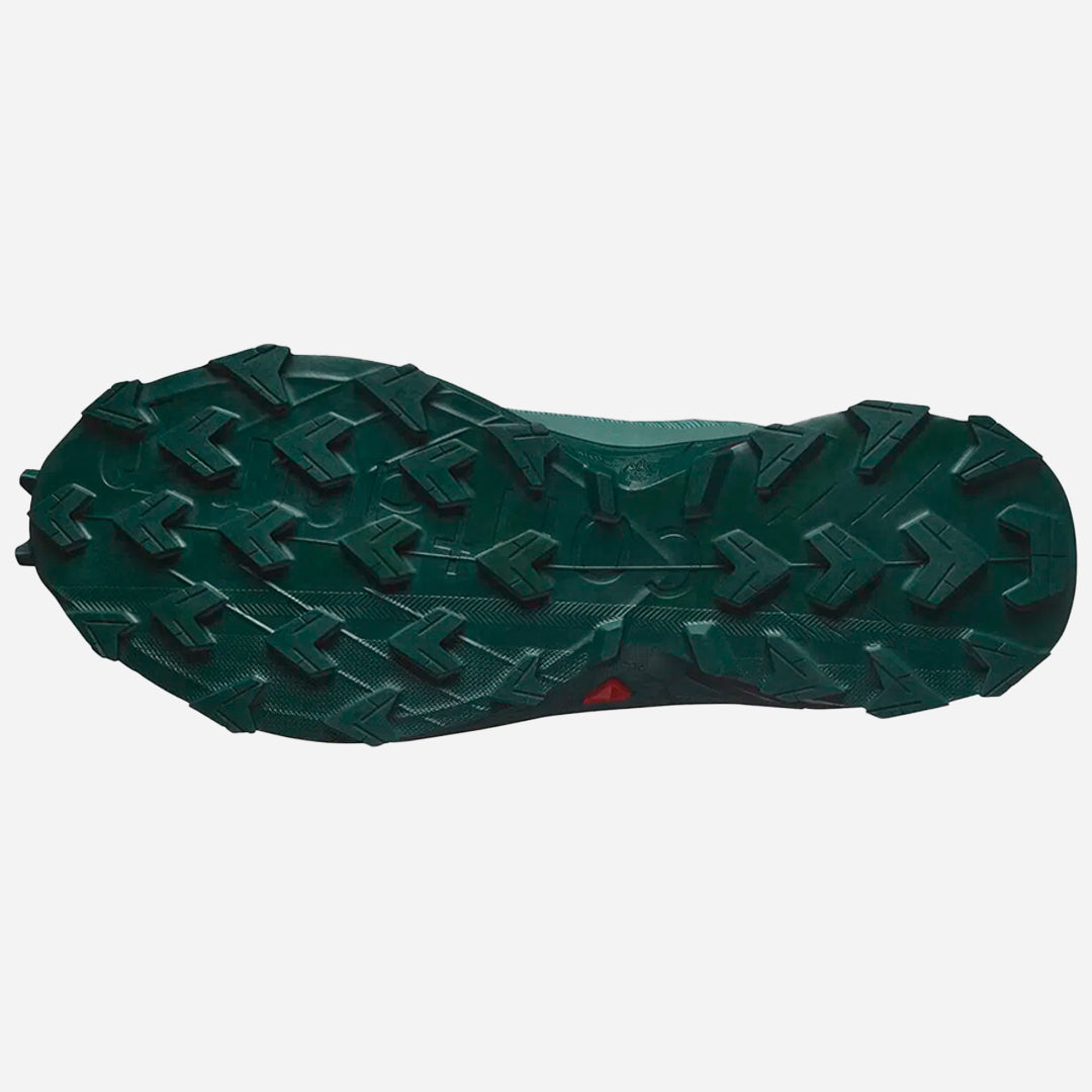 Salomon Alphacross 5 Gtx