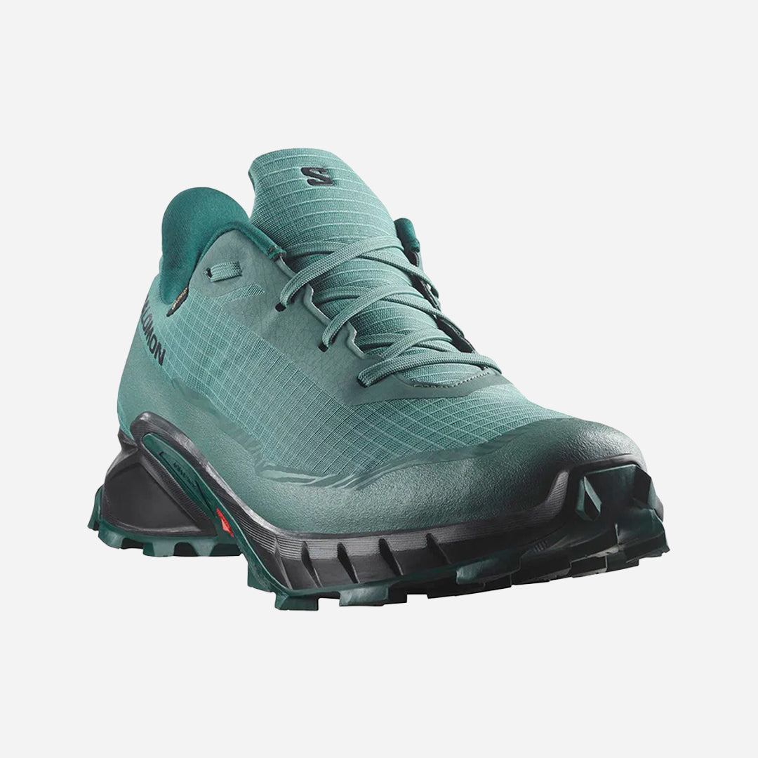 Salomon Alphacross 5 Gtx