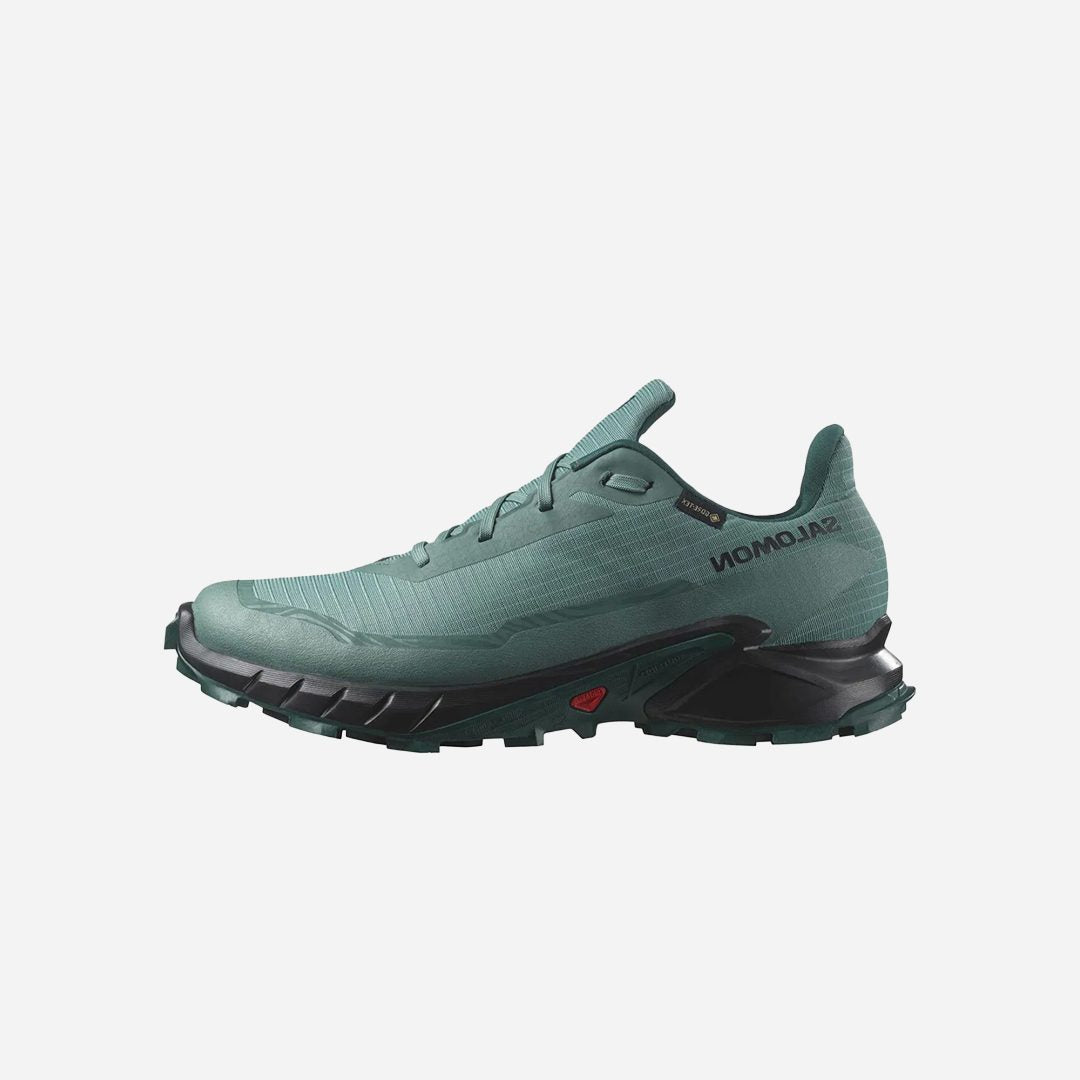 Salomon Alphacross 5 Gtx