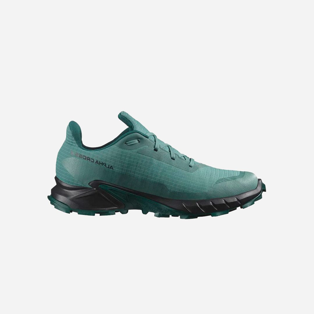 Salomon Alphacross 5 Gtx