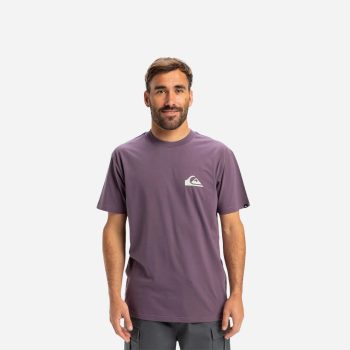 Quiksilver Ev Mini Logo Ss