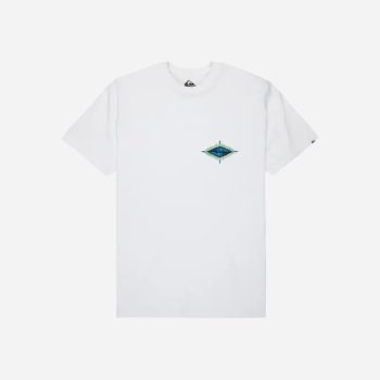 Quiksilver EV Beach Blast SS